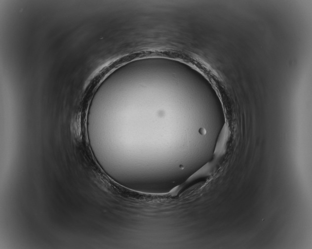 X0000086291262200704131539