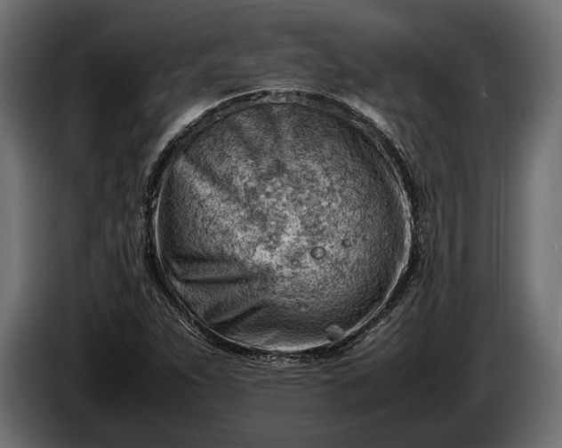 X0000086291263200704131539