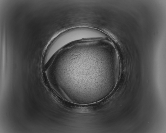 X0000086291264200704131539