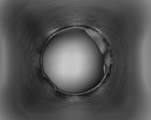 X0000086291265200704131539