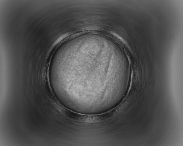 X0000086291266200704131539