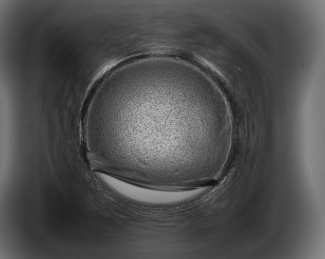 X0000086291267200704131539