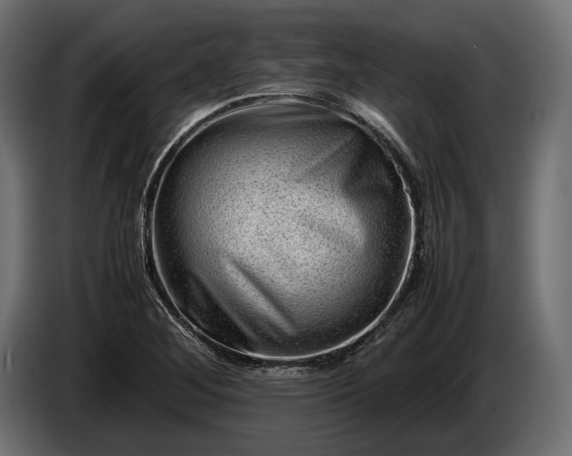 X0000086291268200704131539