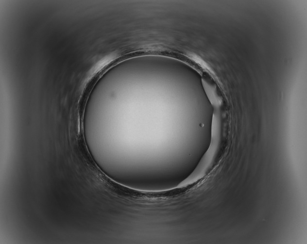 X0000086291269200704131539