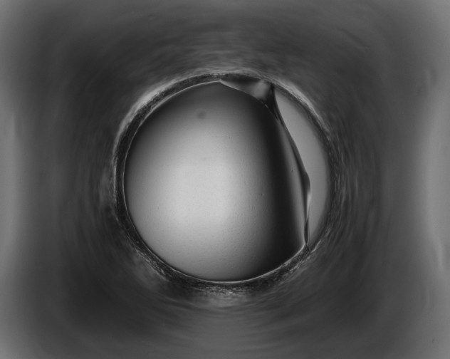 X0000086291270200704131539