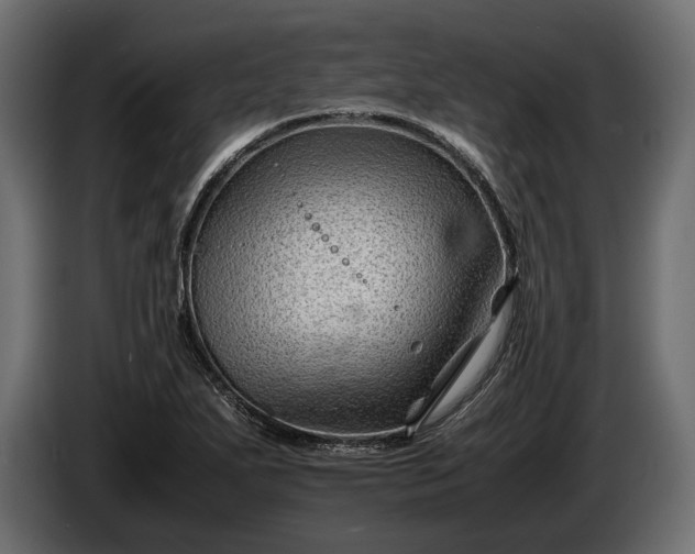 X0000086291271200704131539