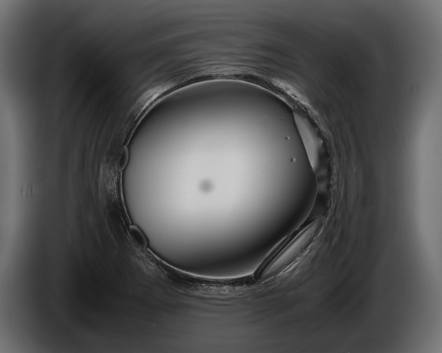 X0000086291273200704131539