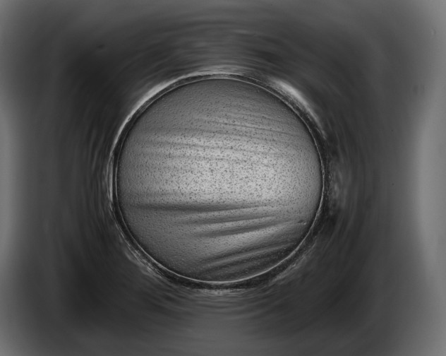 X0000086291276200704131539