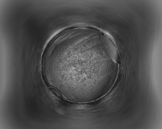 X0000086291279200704131539