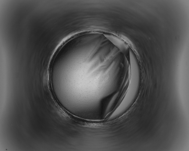 X0000086291280200704131539