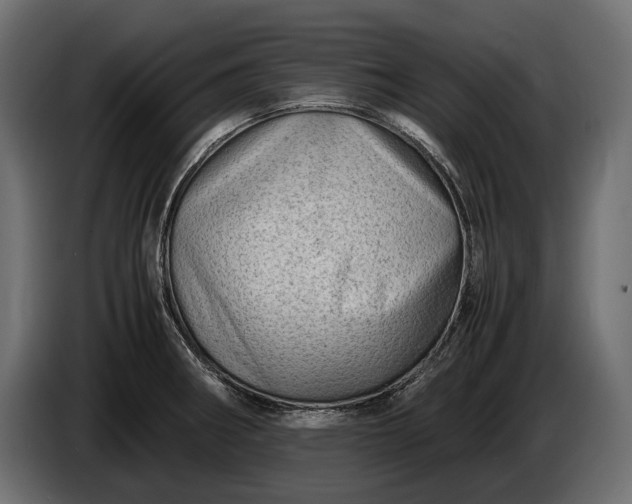 X0000086291282200704131539