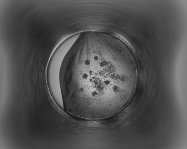 X0000086291283200704131539