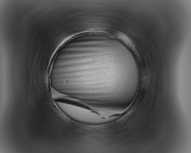X0000086291284200704131539