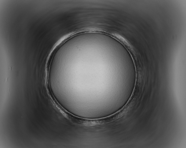 X0000086291286200704131539