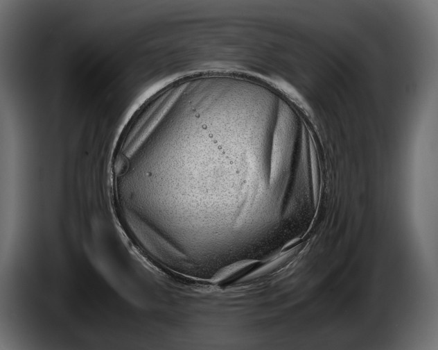 X0000086291287200704131539