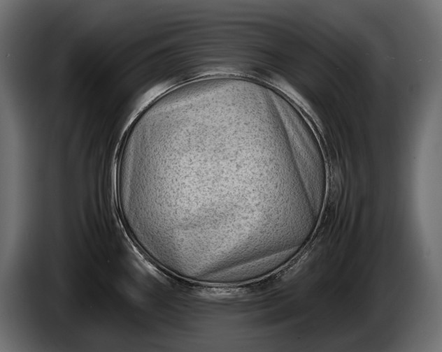 X0000086291290200704131539