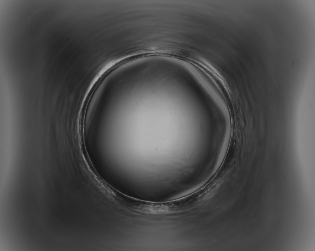 X0000086291291200704131539