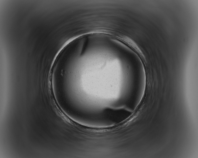 X0000086291292200704131539