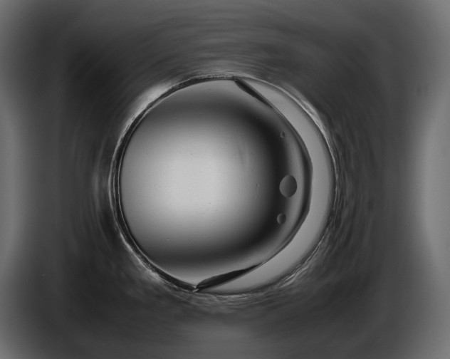 X0000086291293200704131539