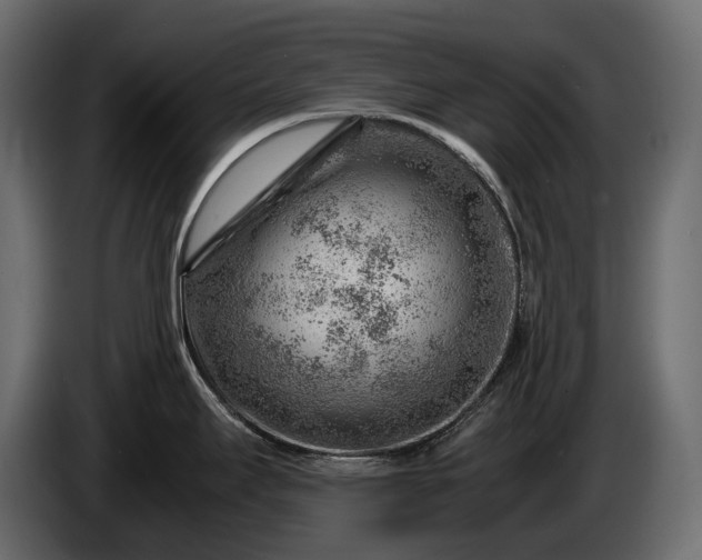 X0000086291295200704131539