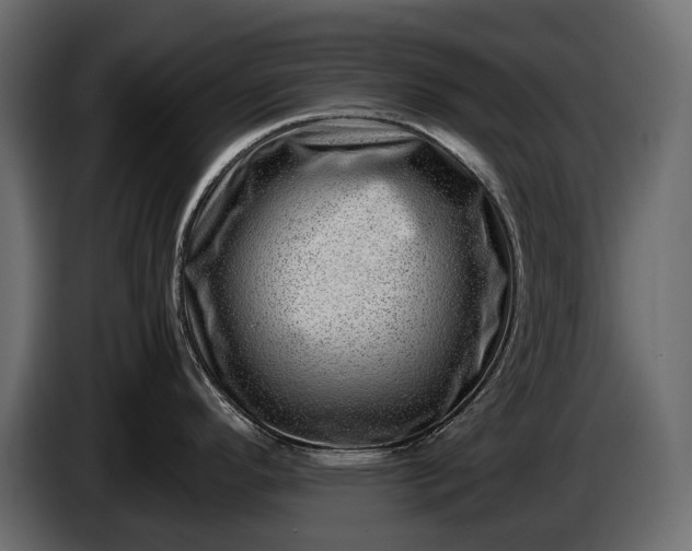X0000086291296200704131539