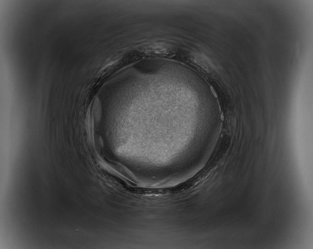 X0000086291297200704131538