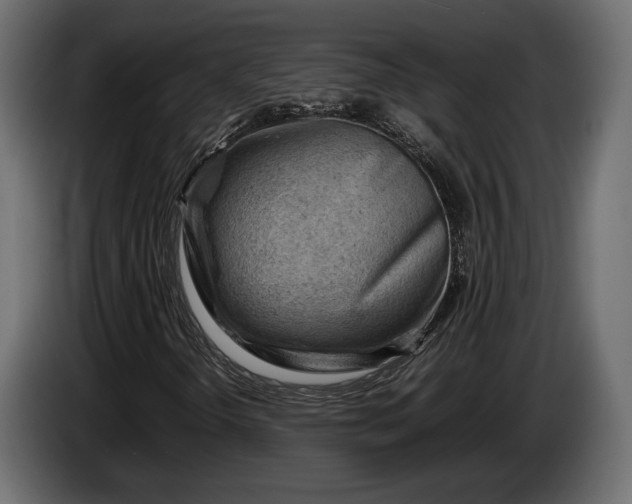 X0000086291298200704131538