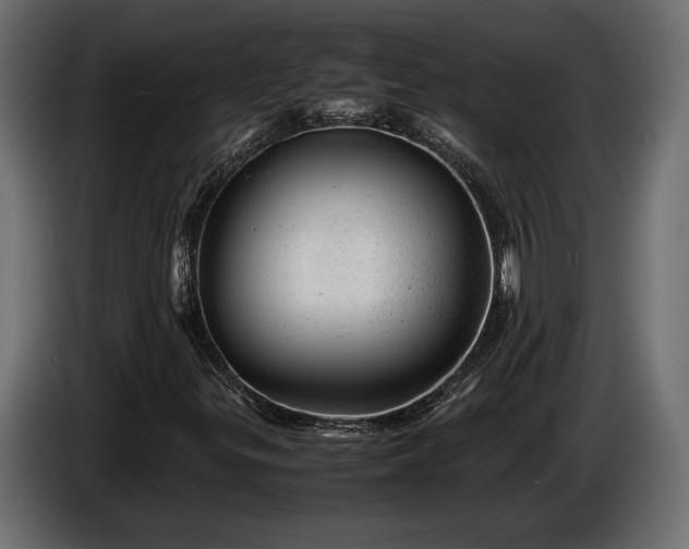 X0000086291299200704131538