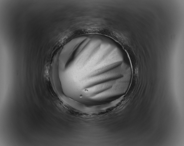 X0000086291300200704131538