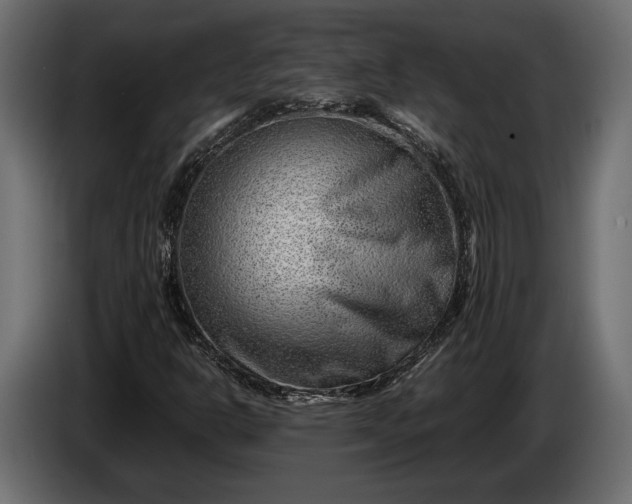 X0000086291302200704131538