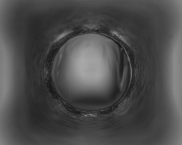 X0000086291303200704131538