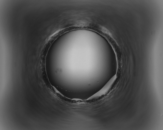 X0000086291304200704131538