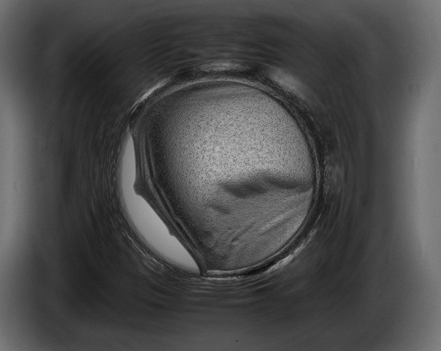 X0000086291305200704131538