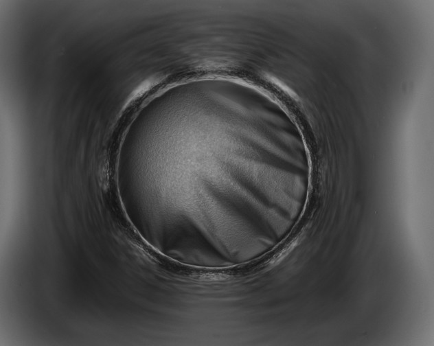 X0000086291306200704131538