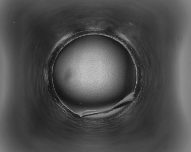 X0000086291307200704131538