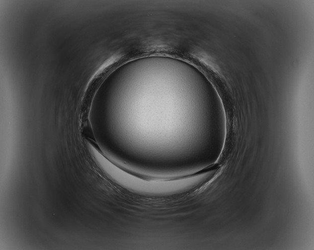 X0000086291309200704131538
