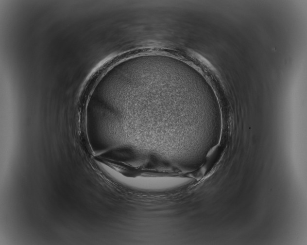 X0000086291310200704131538