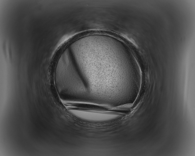 X0000086291311200704131538