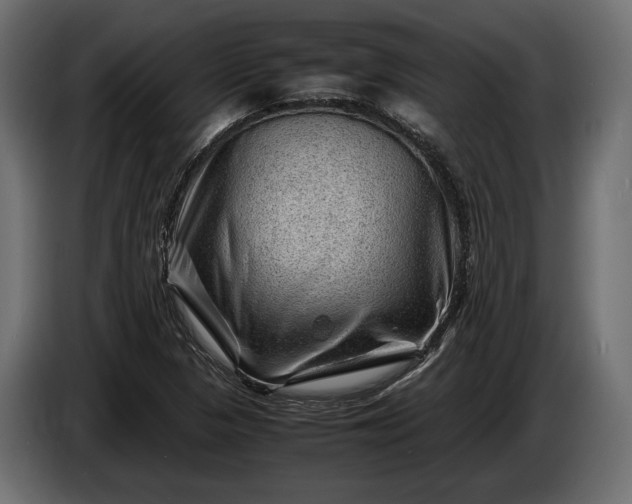 X0000086291313200704131538