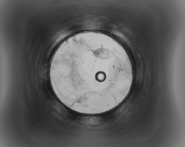 X0000086291314200704131538