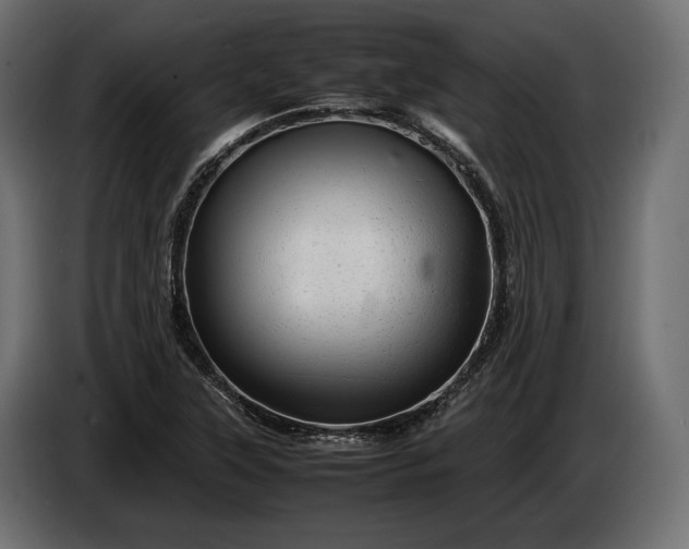 X0000086291315200704131538