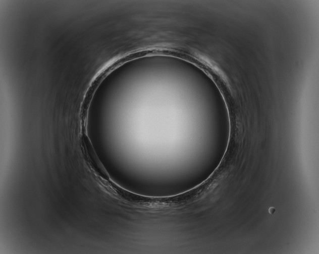X0000086291316200704131538