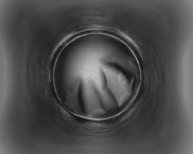 X0000086291318200704131538