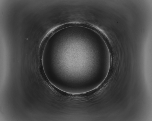 X0000086291319200704131538