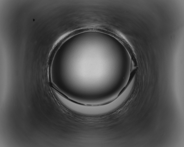 X0000086291320200704131538