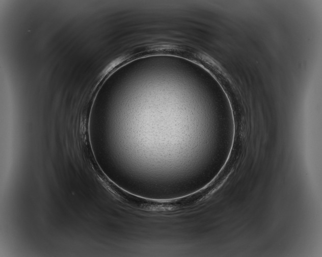 X0000086291321200704131538