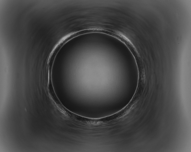X0000086291323200704131538