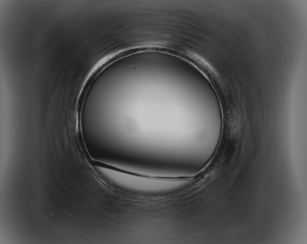 X0000086291324200704131538