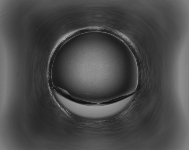 X0000086291327200704131538