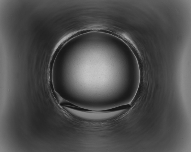 X0000086291328200704131538